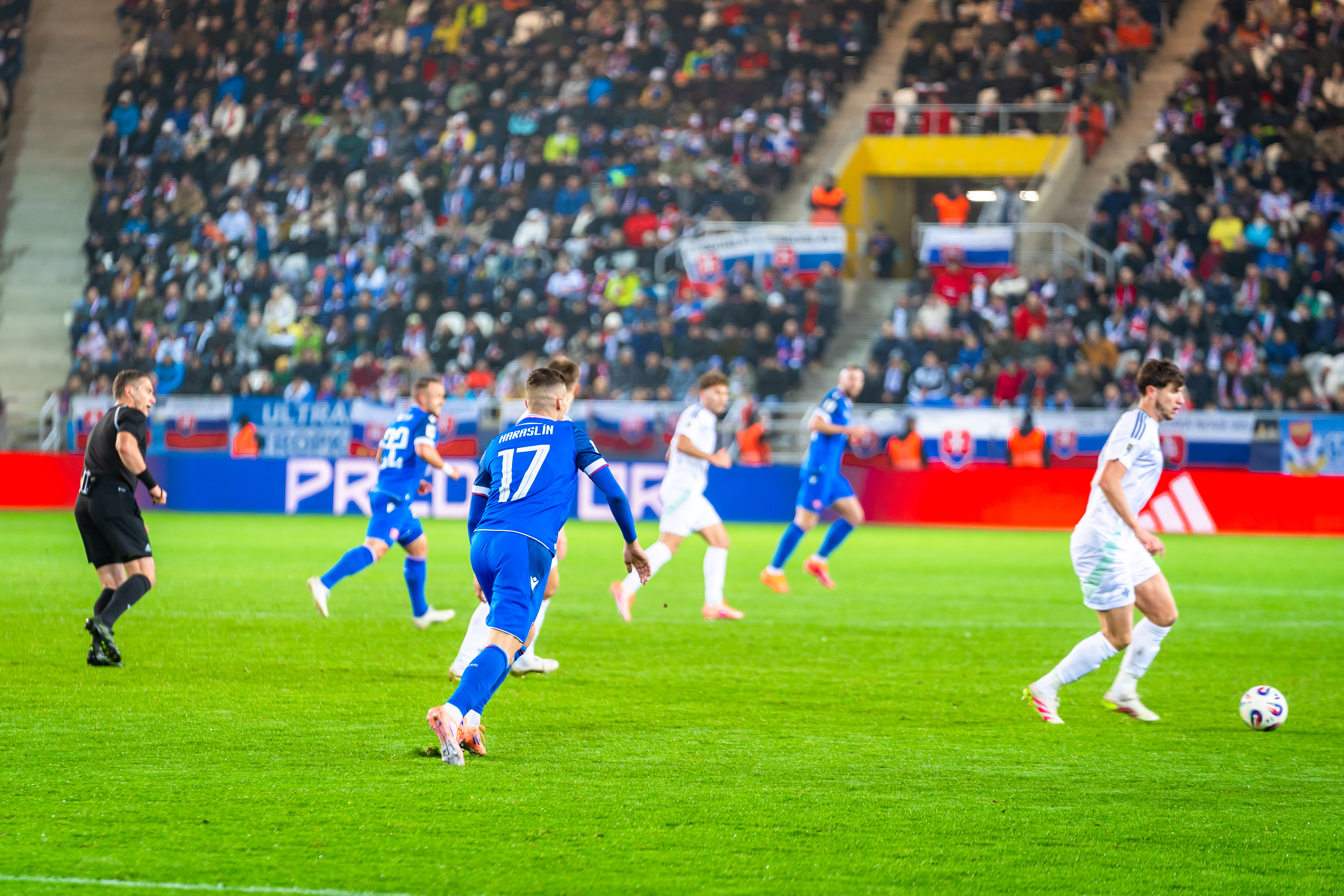 Slovensko vs Severne Irsko-30